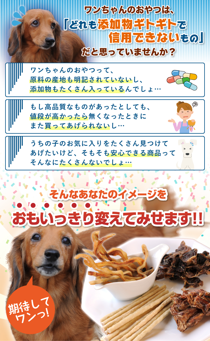 犬 おやつ 選び方 お試しセット 540円 送料無料 犬おやつ オーシーファーム 公式