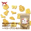   RYƕĕ̃NbL[`x[vZX` 30g
