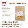 iAEgbgijꂠ艪RYƕĕ̃NbL[`x[vZX` 30g