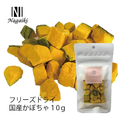 Nagaiki@t[YhCYڂ@10g