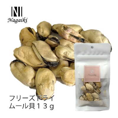 Nagaiki@t[YhC[L@13g
