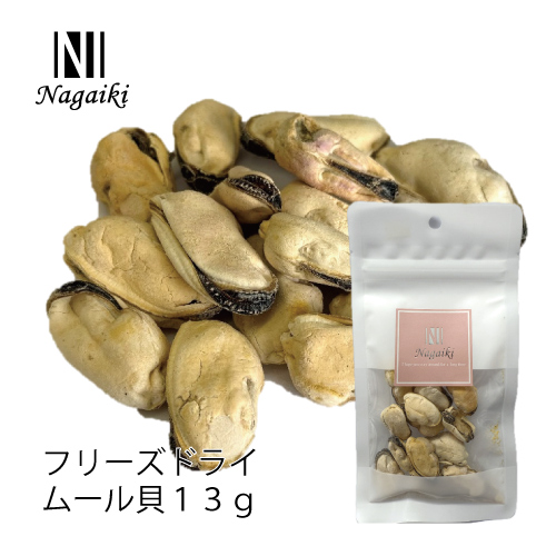 Nagaiki@t[YhC[L@13g