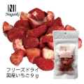 Nagaiki@Nagaiki@t[YhCY@9g