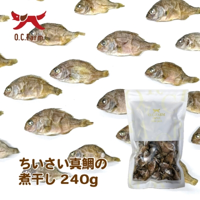    ^̎ϊ 240g i܁j