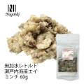 Nagaiki@gg ˓CYGC@~`@60g@ܖ2026.02.01