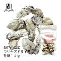 Nagaiki�@���˓��C�Y�t���[�Y�h���C���� 15g�@�ܖ�����2026.10.1