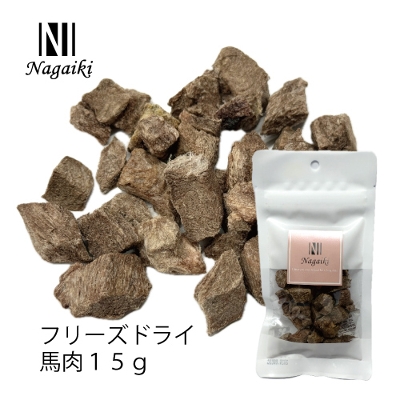 Nagaiki�@�t���[�Y�h���C�@�n���@15���i�ܖ�����2026.12.1�j