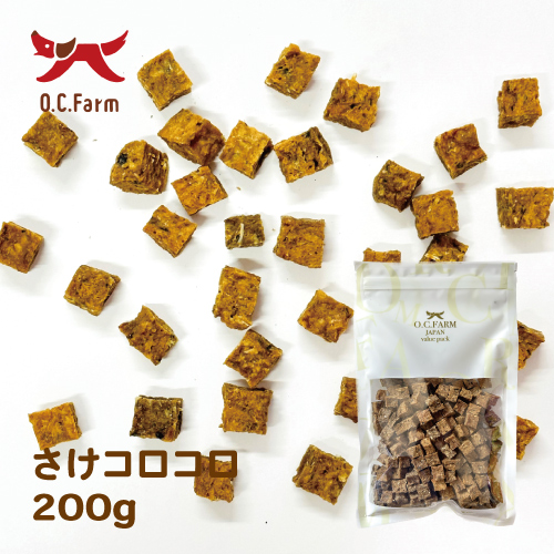 我が家の番犬ケンゴロウ 我が家の番犬ケンゴロウ