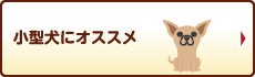 小型犬にオススメ