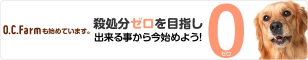 殺処分ゼロを目指しできることから今始めよう